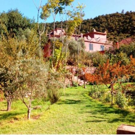 Ourika Timalizene Le Jardin Des Delices Hotel Tamezindert Bagian luar foto