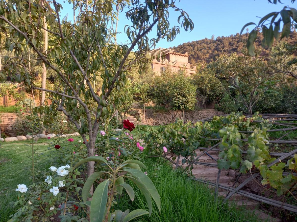 Ourika Timalizene Le Jardin Des Delices Hotel Tamezindert Bagian luar foto