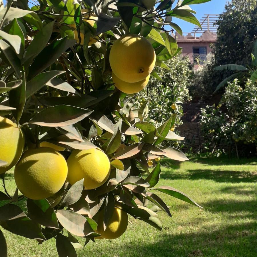 Ourika Timalizene Le Jardin Des Delices Hotel Tamezindert Bagian luar foto