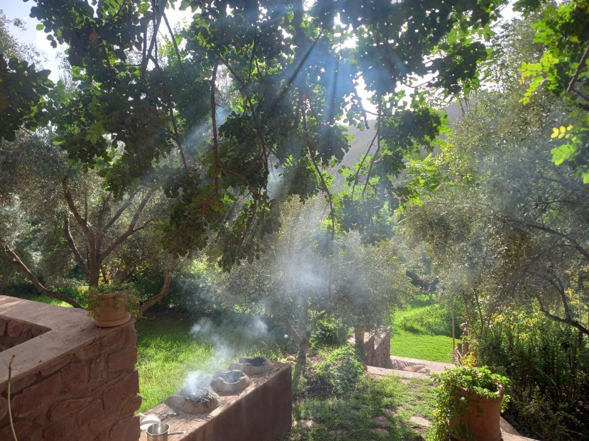 Ourika Timalizene Le Jardin Des Delices Hotel Tamezindert Bagian luar foto