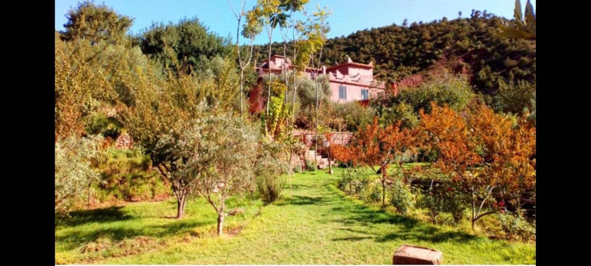 Ourika Timalizene Le Jardin Des Delices Hotel Tamezindert Bagian luar foto